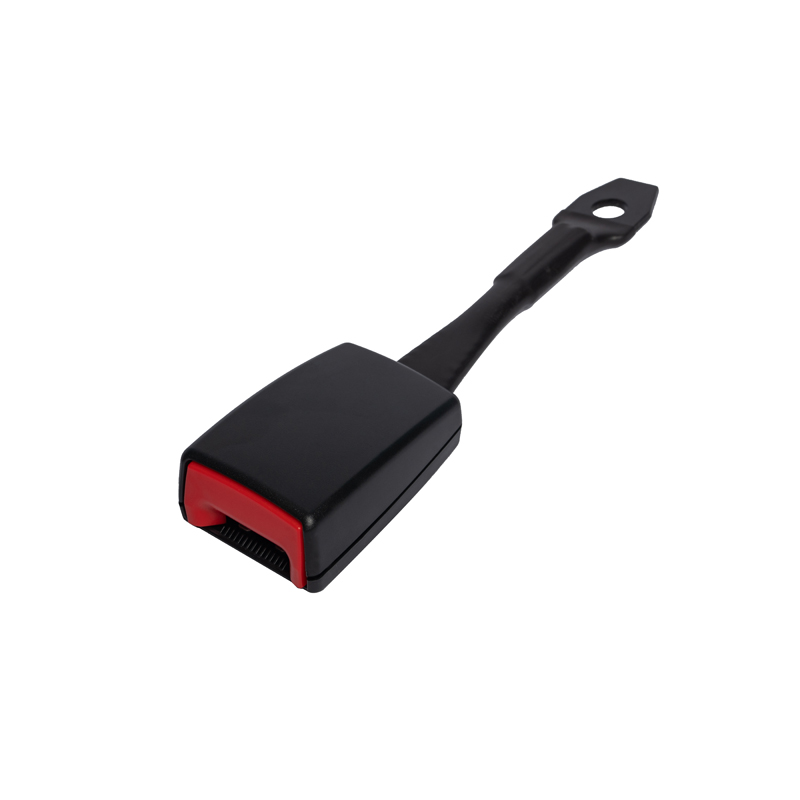 Quid sunt characteres currus sedem balteus partes?