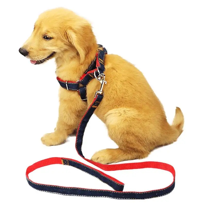 What Width and Crassus Specifications Best Match Different Pet Sizes for Polyester Webbing for Pet Traction?